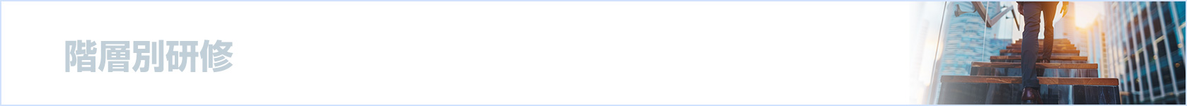 階層別研修