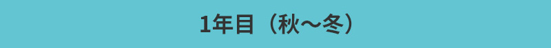 1年目（秋〜冬）