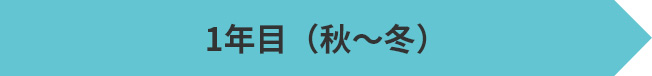 1年目（秋〜冬）