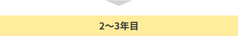 2〜3年目