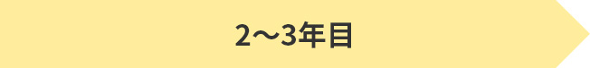 2〜3年目