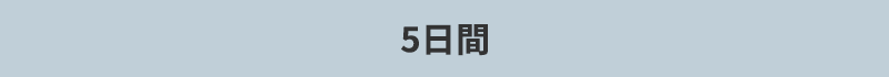 5日間