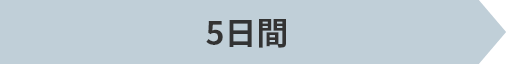 5日間