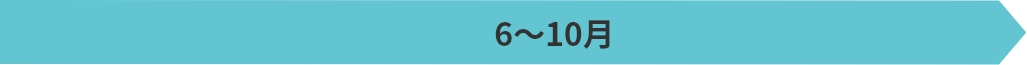 6～10月