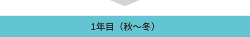 1年目（秋〜冬）