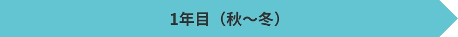 1年目（秋〜冬）