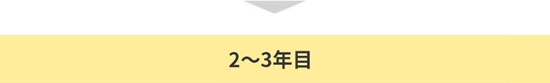 2〜3年目