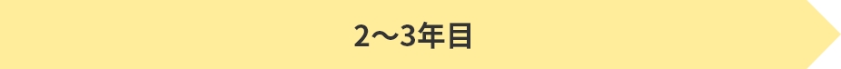 2〜3年目
