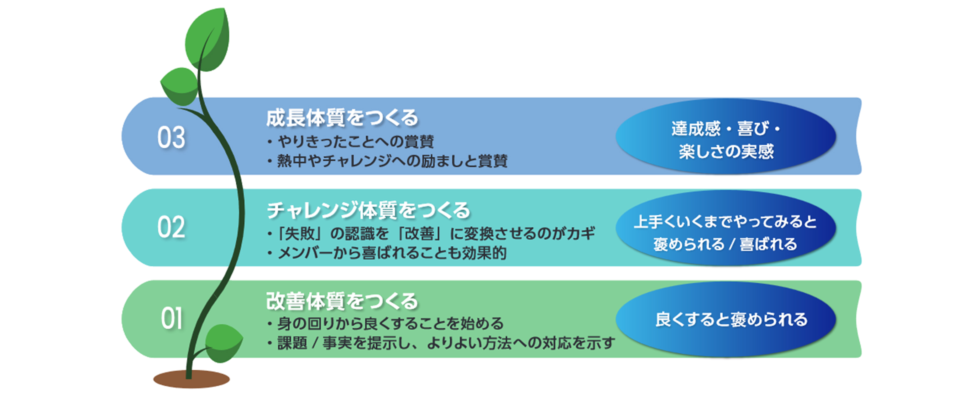 新入社員研修3つのステップ