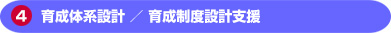 育成体系設計／育成制度設計支援