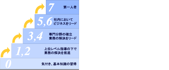 レベル0[気付き、基本知識の習得] レベル1.2[上位レベル指導の下で業務の解決を推進] レベル3,4[業務分野の確立、業務の解決をリード] レベル5,6[社内においてビジネスをリード] レベル7[第一人者] 